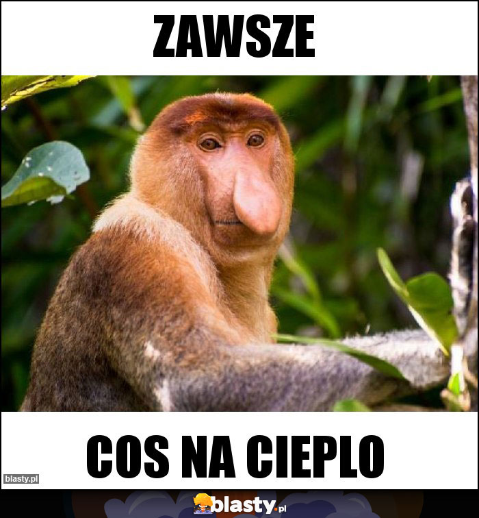 Zawsze