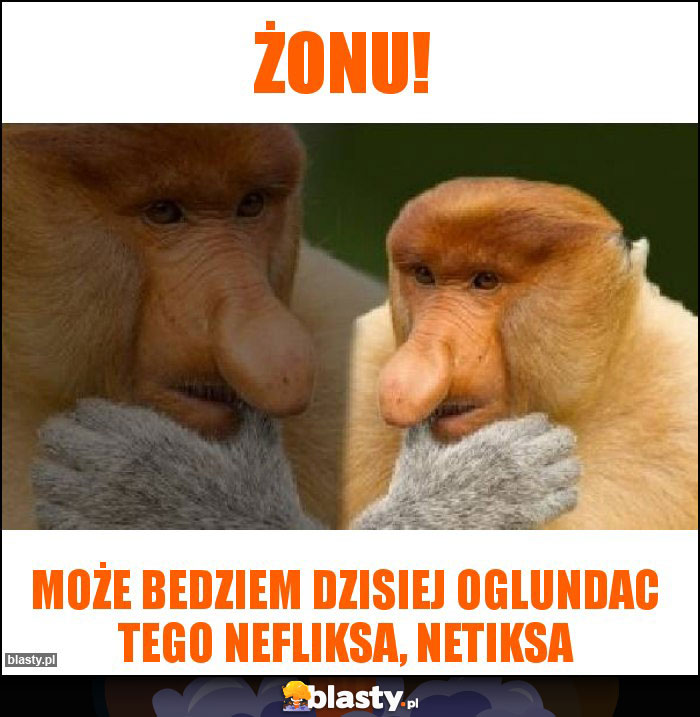 Żonu!