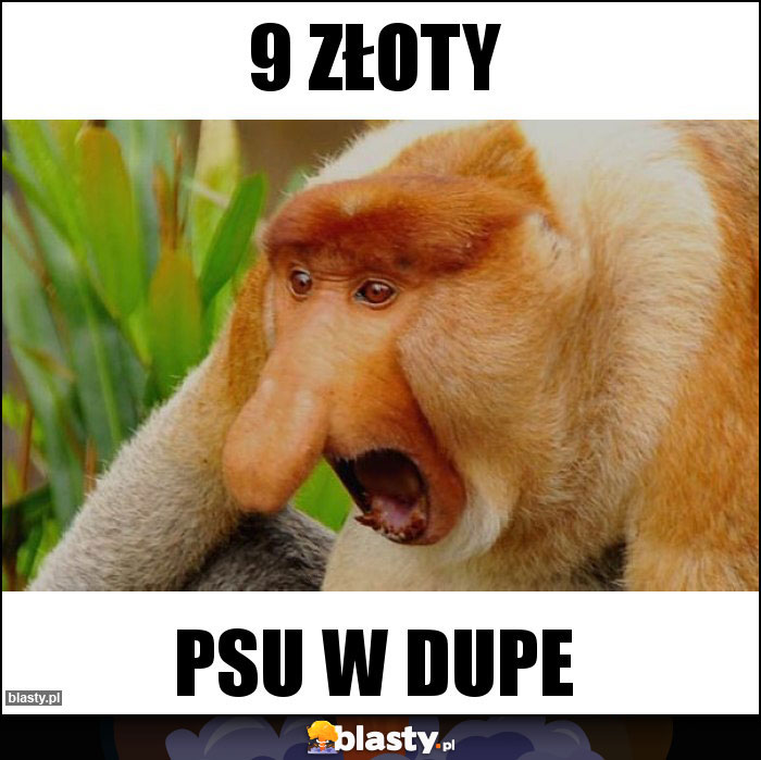 9 złoty