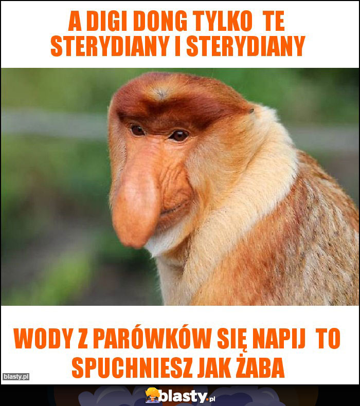 A DIGI Dong tylko  te sterydiany i sterydiany
