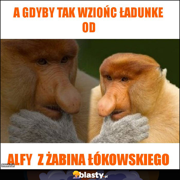 A GDYBY TAK WZIOŃC ŁADUNKE OD