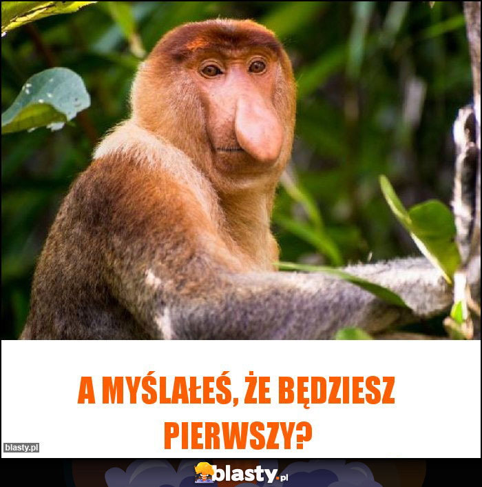 A myślałeś, że będziesz pierwszy?