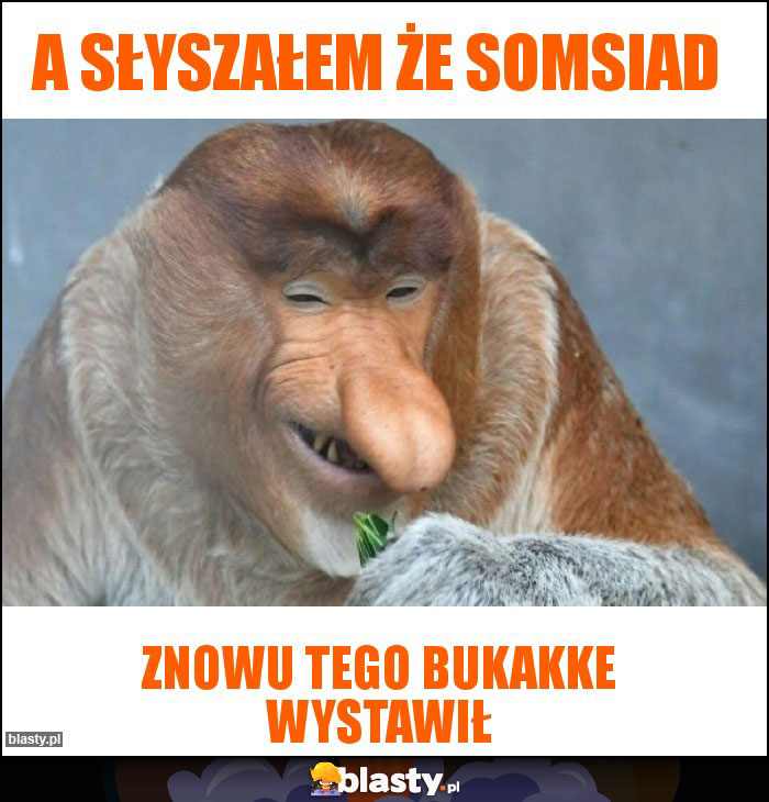 A SŁYSZAŁEM ŻE SOMSIAD