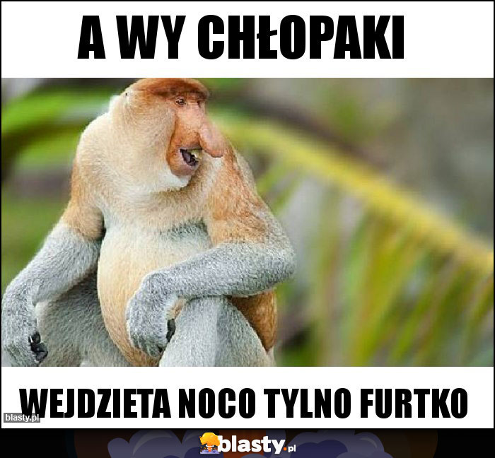 A WY CHŁOPAKI