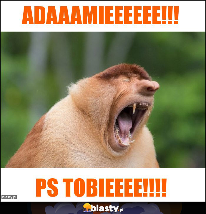 Adaaamieeeeee!!!