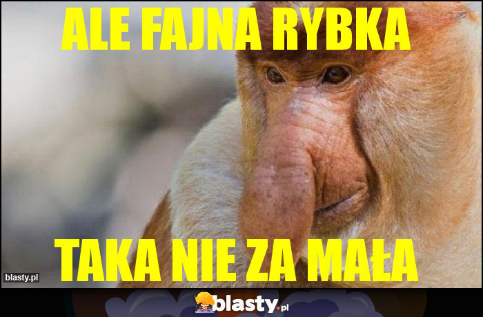 Ale fajna rybka