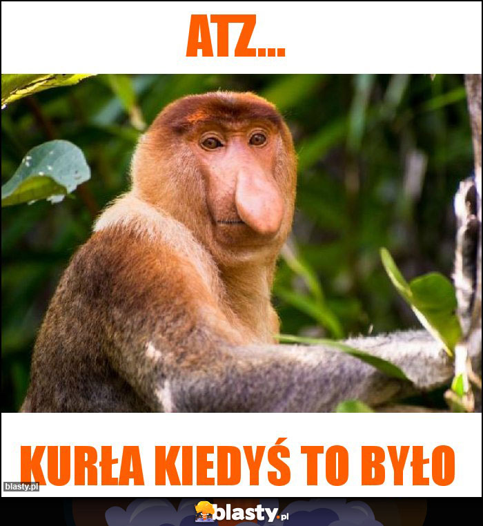 ATZ...