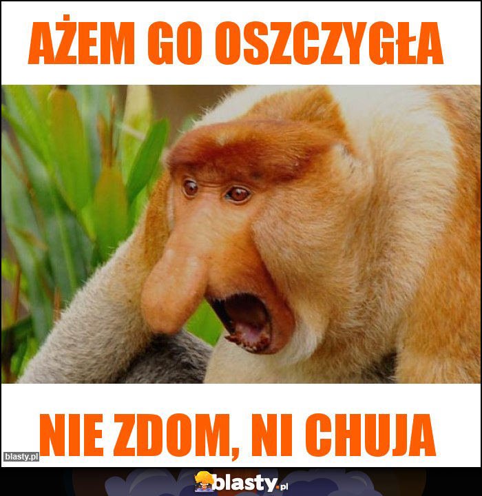 Ażem go oszczygła