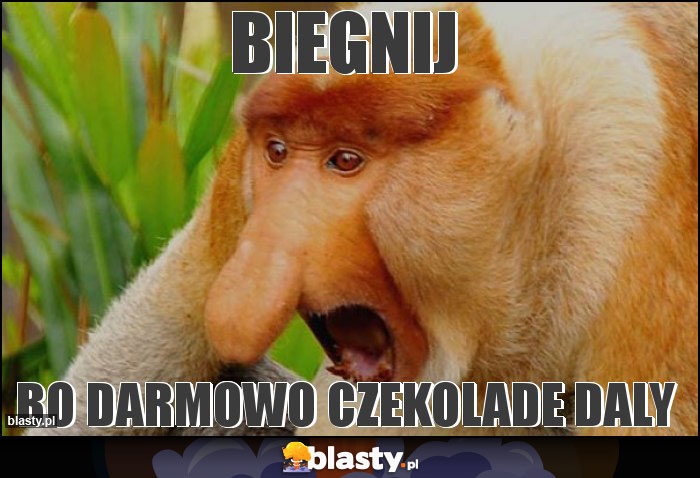 Biegnij