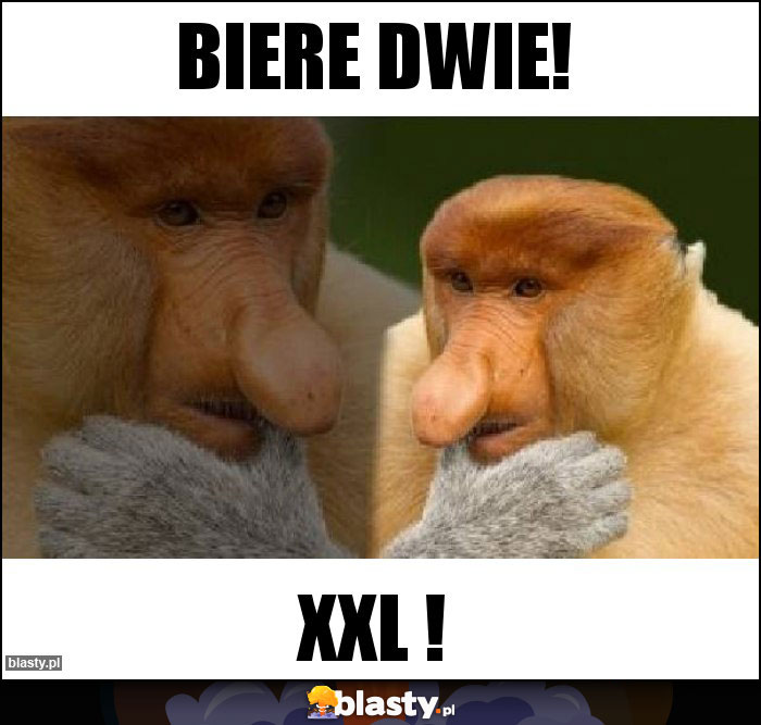 Biere dwie!