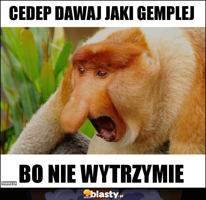 CEDEP DAWAJ JAKI GEMPLEJ
