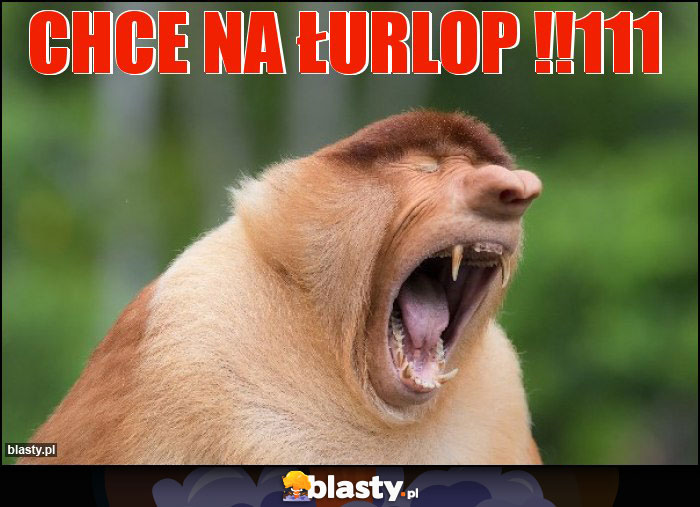 CHCE NA ŁURLOP !!111