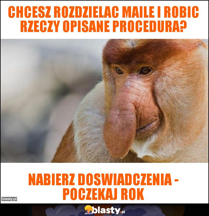 chcesz rozdzielac maile i robic rzeczy opisane procedura?