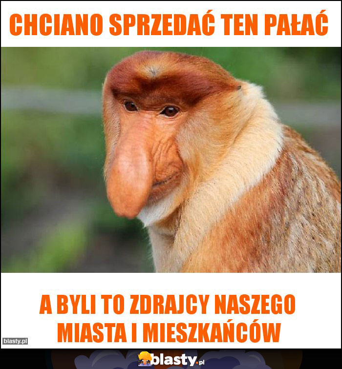 Chciano sprzedać ten pałaĆ