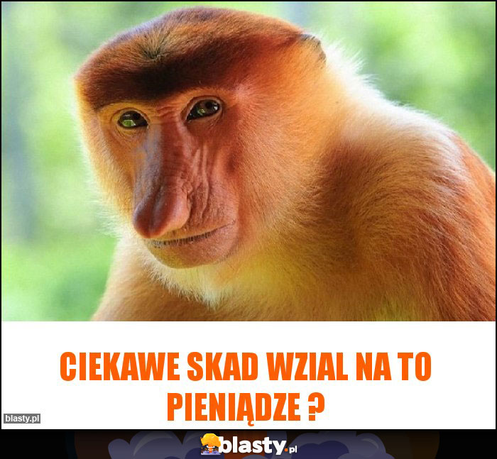Ciekawe skad wzial na to Pieniądze ?