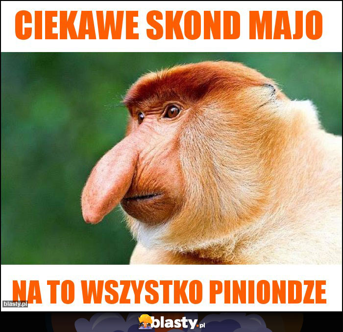 Ciekawe Skond majo