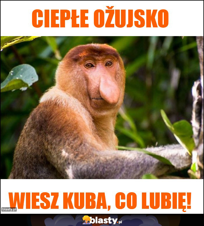 Ciepłe Ožujsko