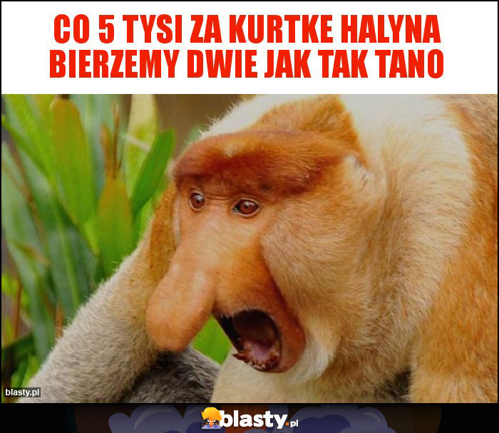 Co 5 tysi za kurtke HALYNA bierzemy dwie jak tak tano