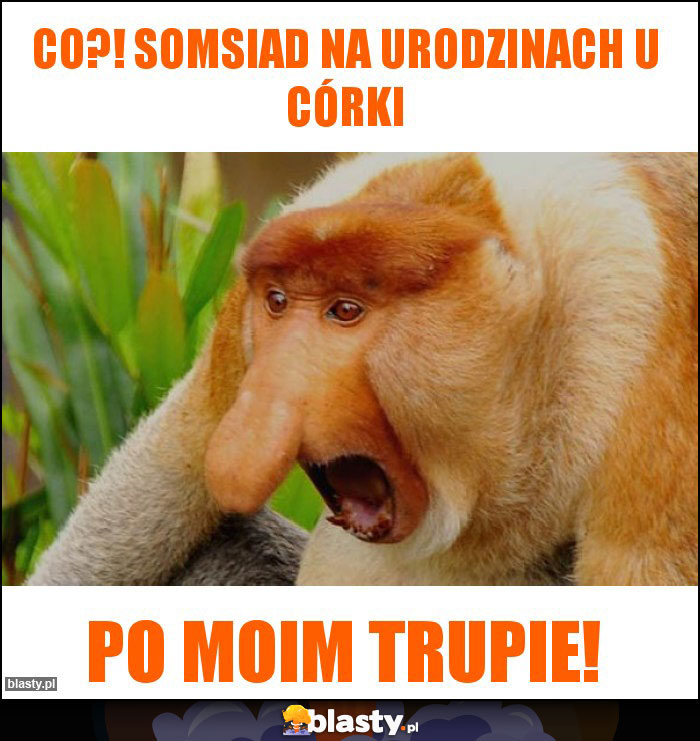 Co?! Somsiad na urodzinach u córki