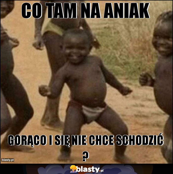 Co tam na aniak