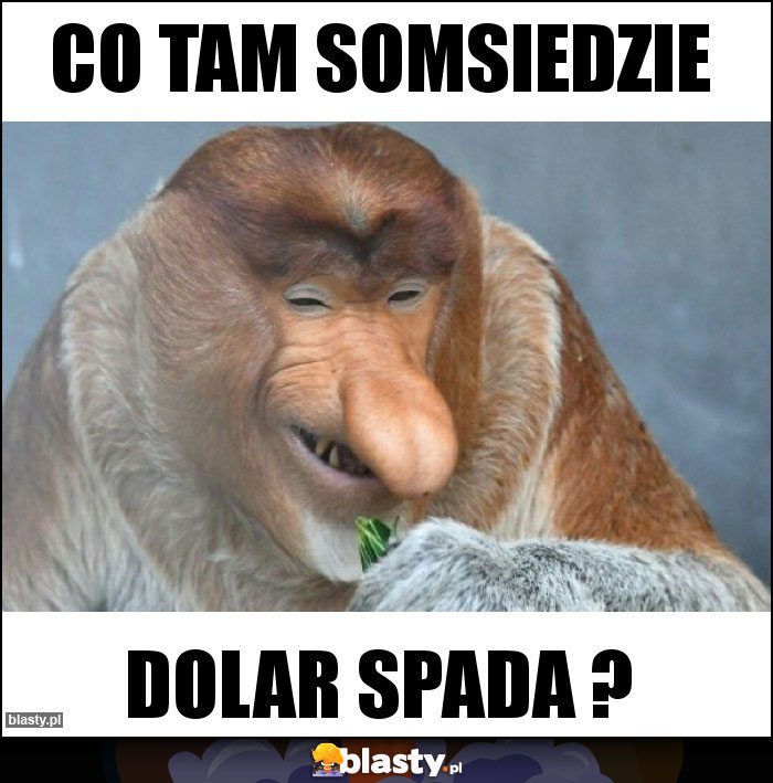 Co tam somsiedzie