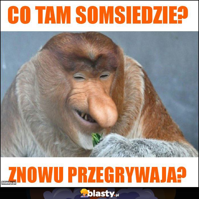 Co tam somsiedzie?