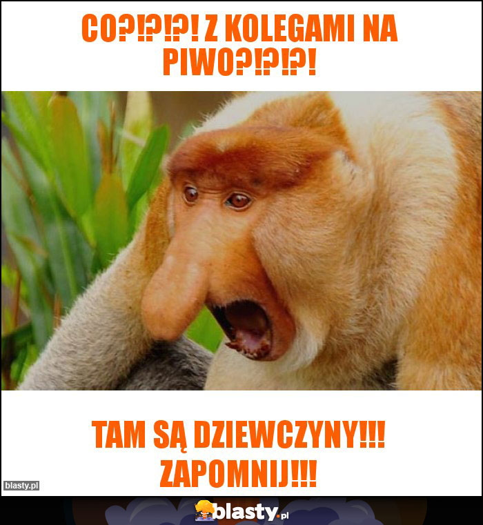 Co?!?!?! Z kolegami na piwo?!?!?!