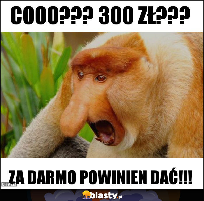 Cooo??? 300 zł???