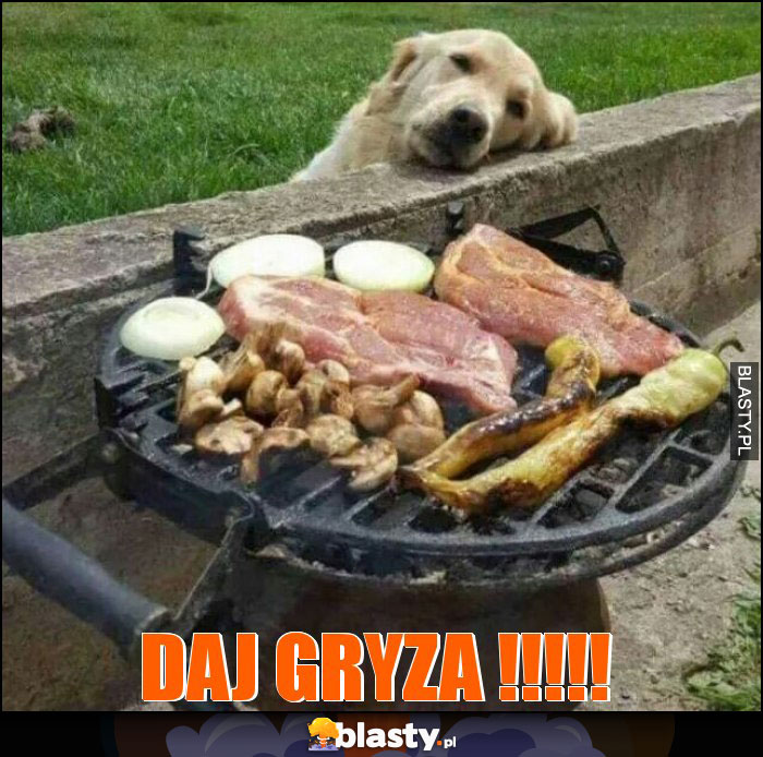 Daj gryza !!!!!