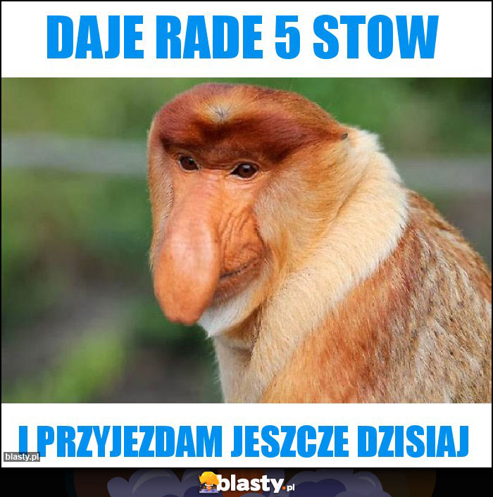 Daje rade 5 stow
