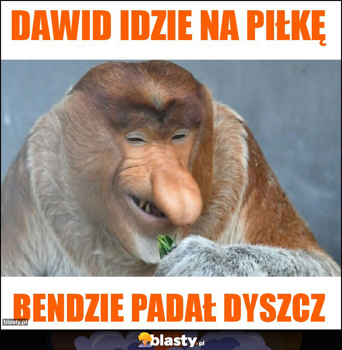 DAWID IDZIE NA PIŁKĘ
