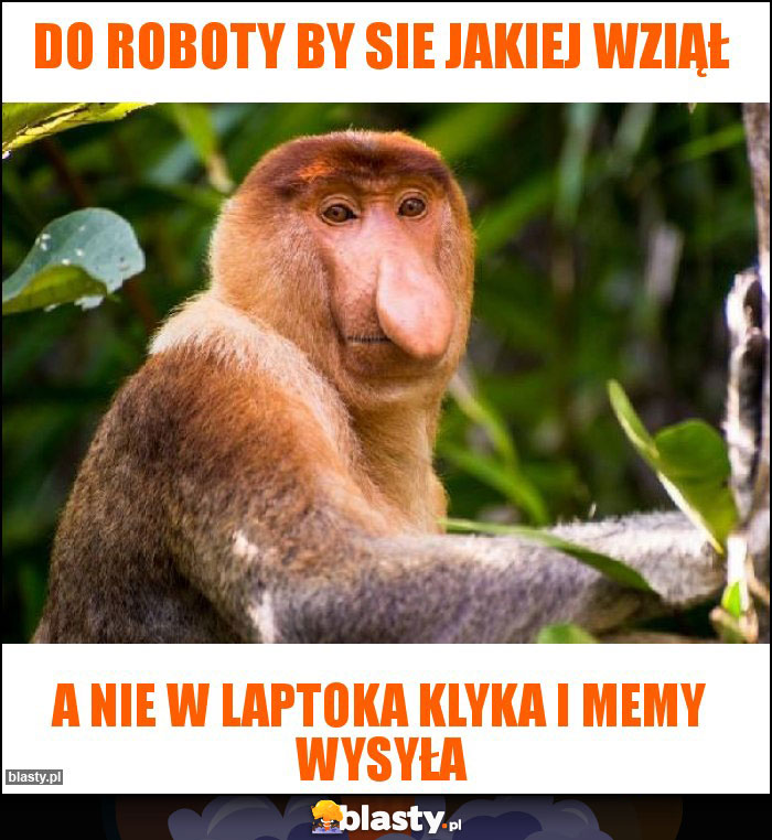 Do roboty by sie jakiej wziął