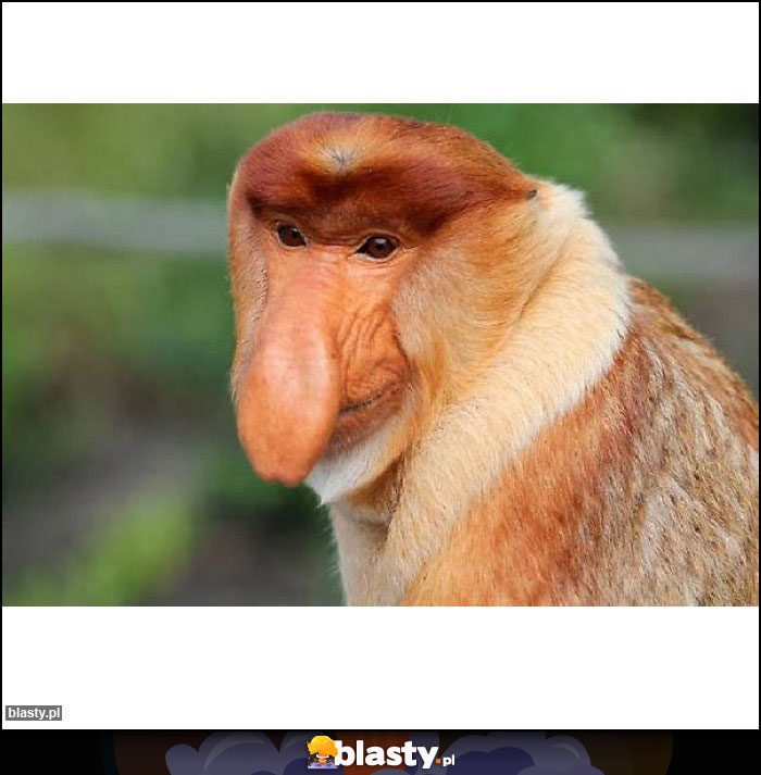 Dobra ta pogoda dzisiaj