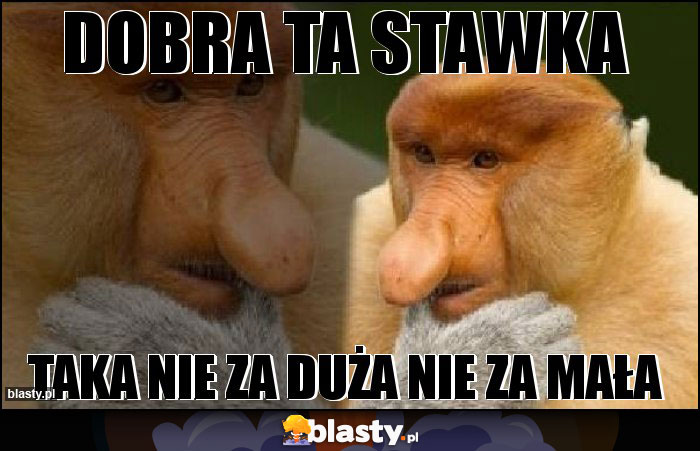 Dobra ta stawka