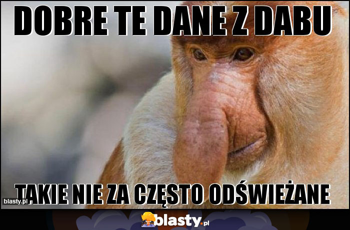 DOBRE TE DANE Z DABU