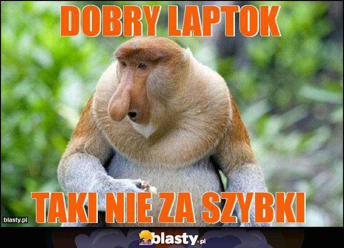 dobry laptok