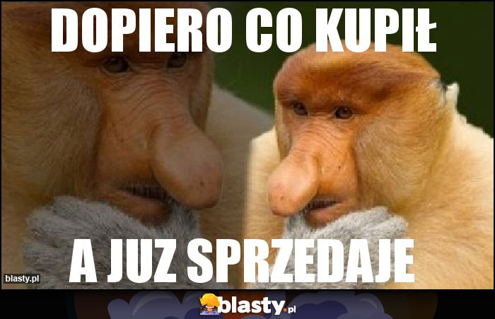 DOPIERO CO KUPIŁ
