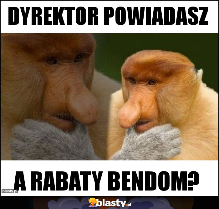 Dyrektor powiadasz