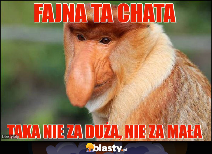 Fajna ta chata
