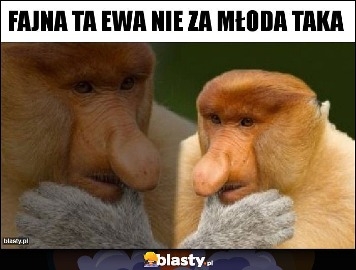 fajna ta ewa nie za młoda taka