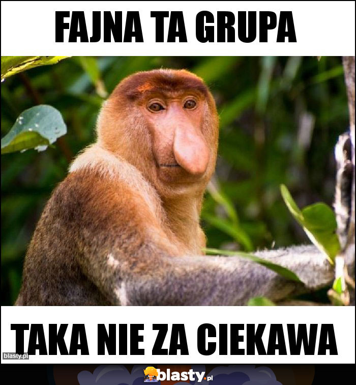 Fajna ta grupa