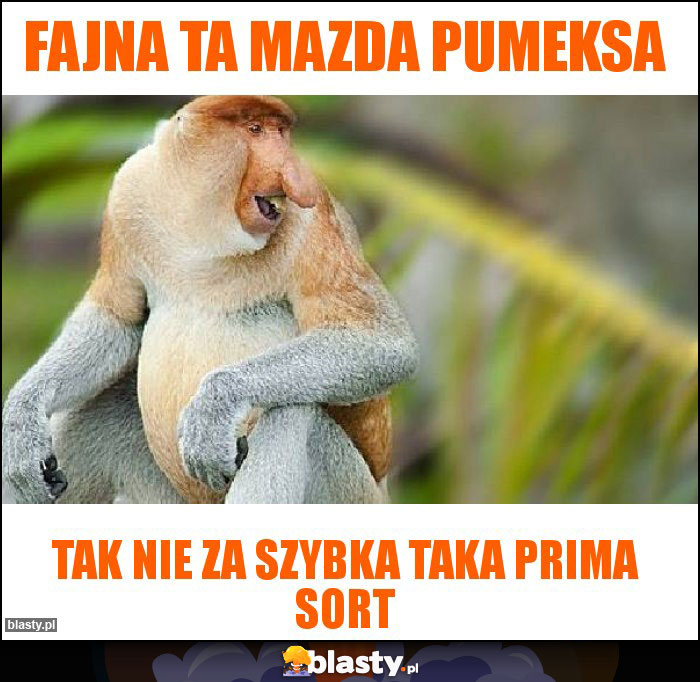 Fajna ta mazda pumeksa