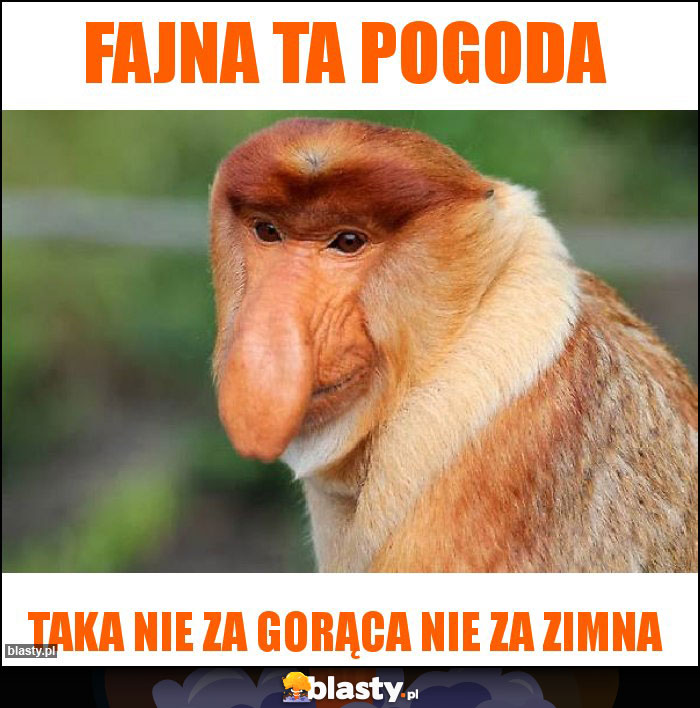 Fajna ta pogoda