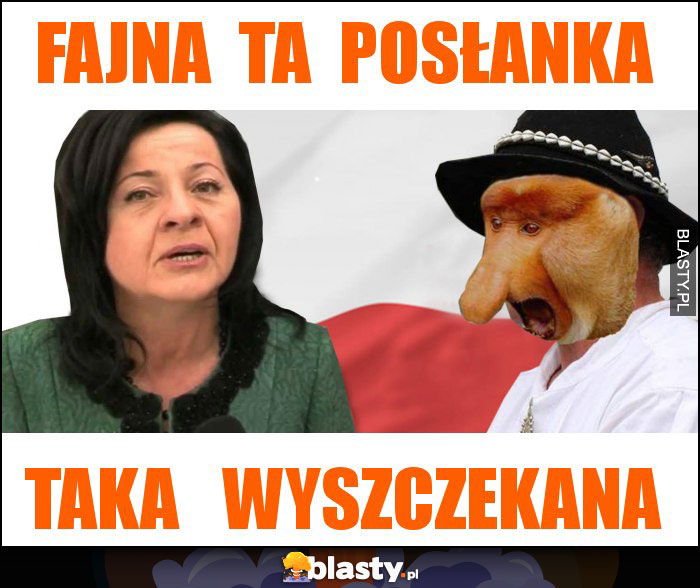 fajna  ta  posłanka