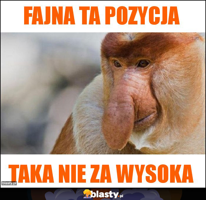 Fajna ta pozycja