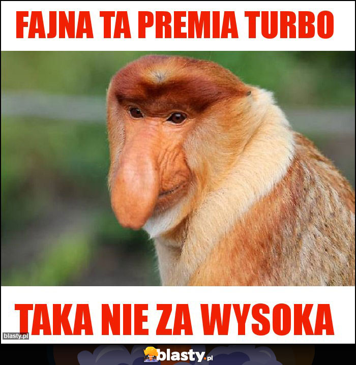 FAJNA TA PREMIA TURBO