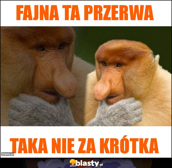 Fajna ta przerwa