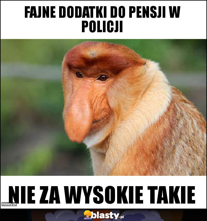 Fajne dodatki do pensji w Policji