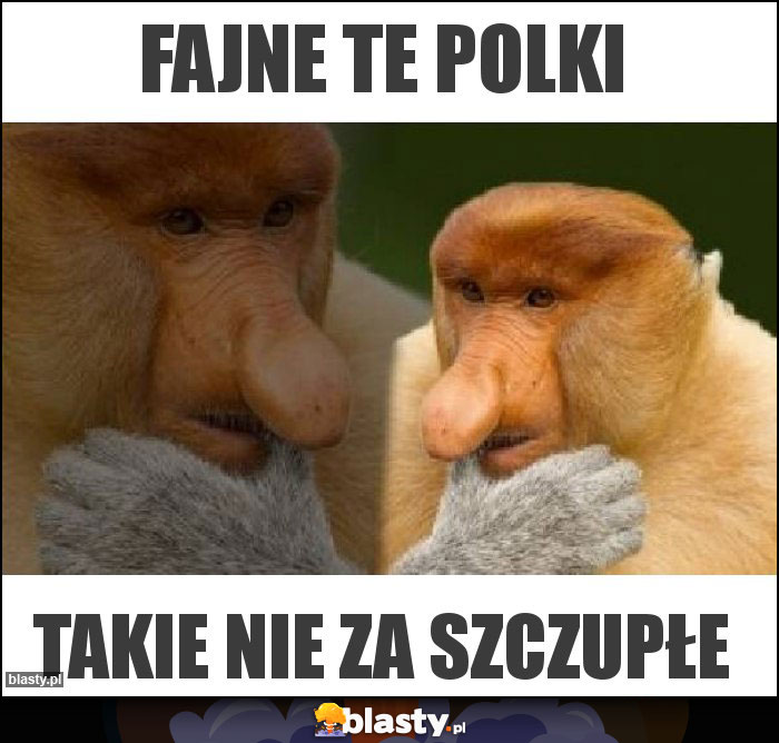 Fajne te polki