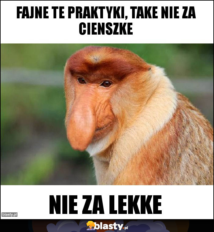 Fajne te praktyki, take nie za cienszke